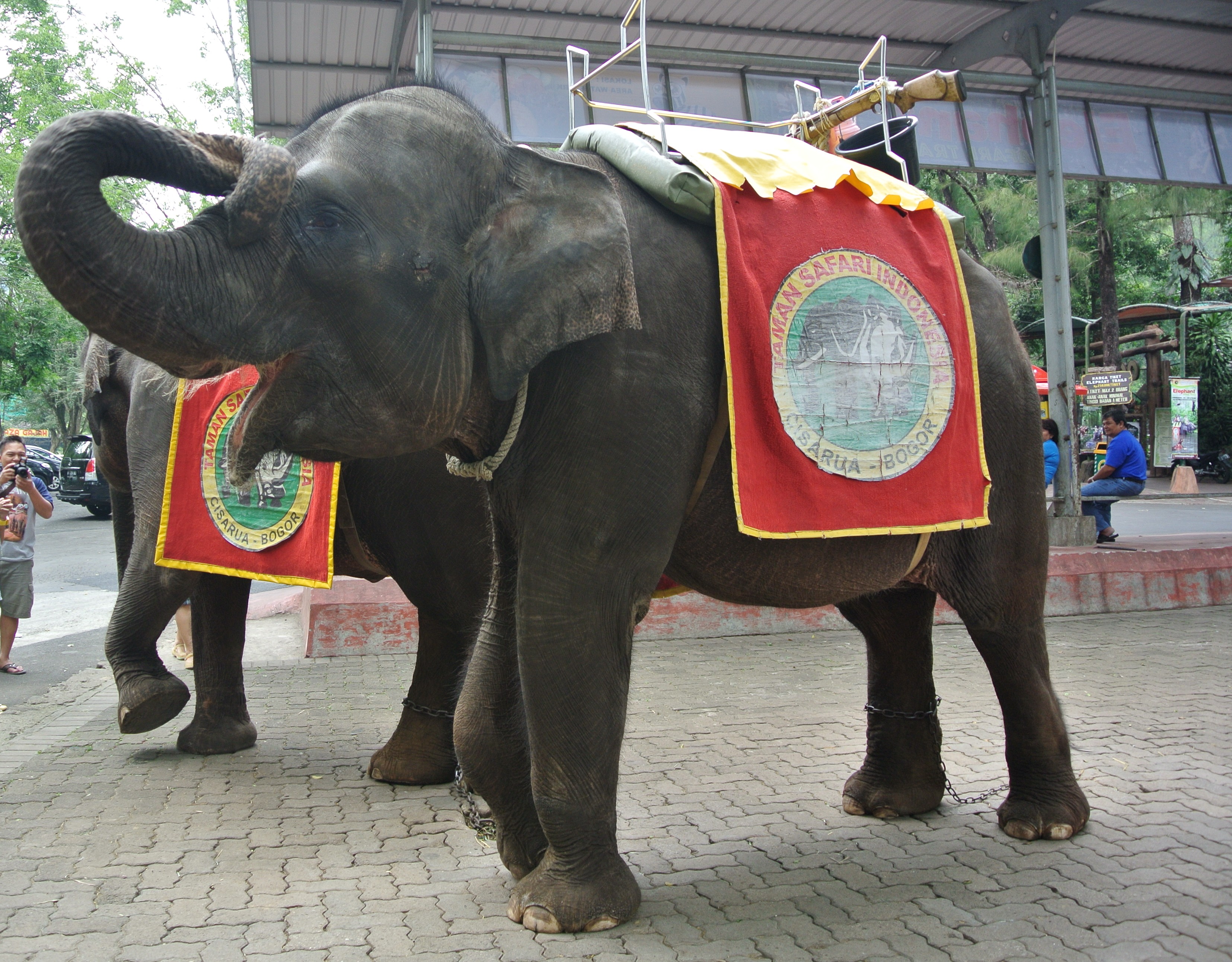 Taman Safari