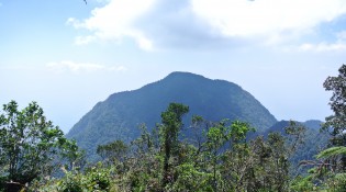 The summit